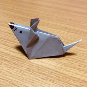 Origami folded by まるるん