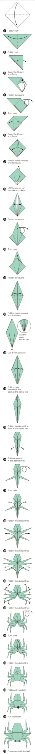 How to fold Spider, step 1