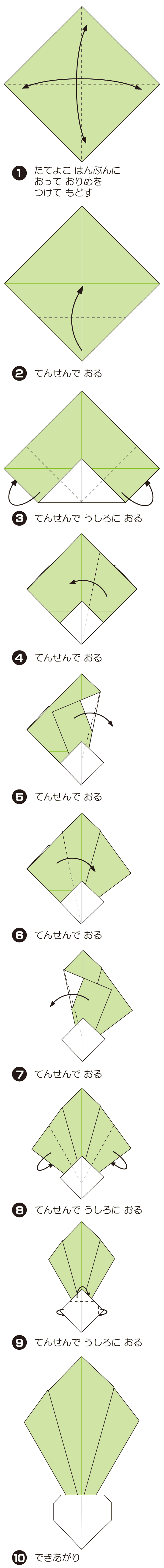 かぶの折り方 手順1