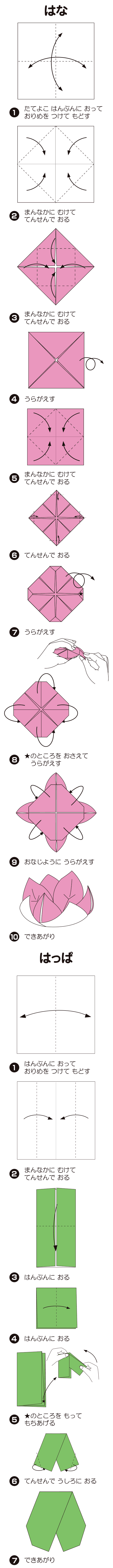 すいれんの折り方 手順1