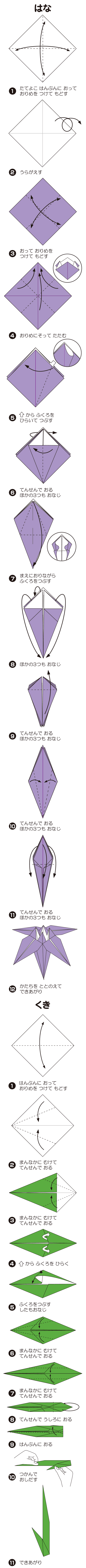 あやめの折り方 手順1