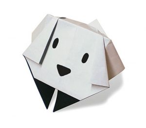 いぬ5