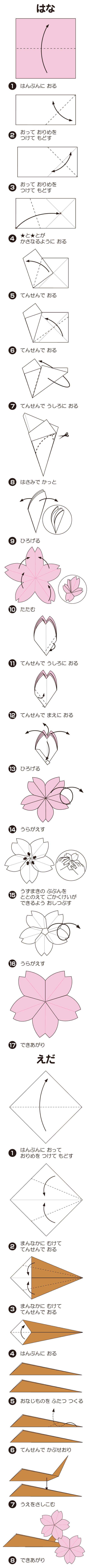 さくらの折り方 手順1