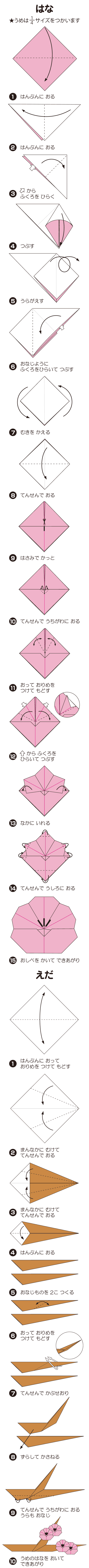 うめの折り方 手順1