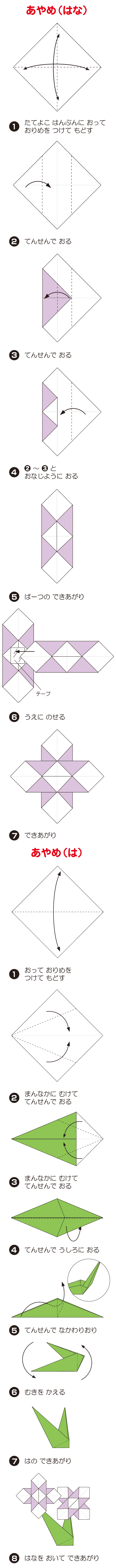 あやめの折り方 手順1