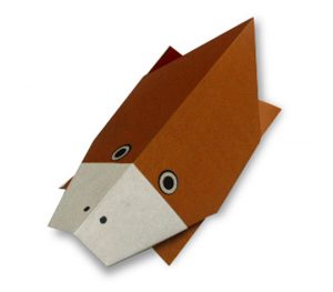 かものはし