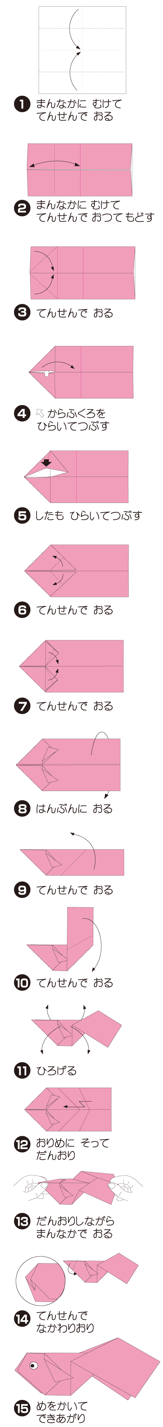 How to fold きんぎょ, step 1