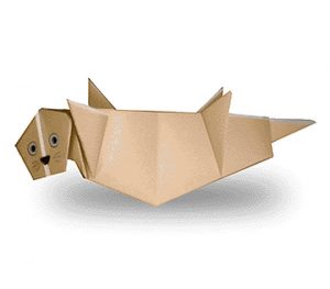らっこ