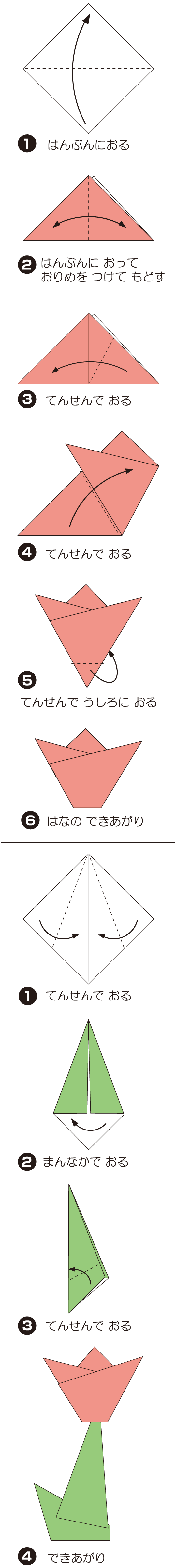 ちゅーりっぷの折り方 手順1