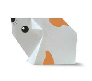 はむすたー