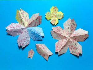 山折り桜