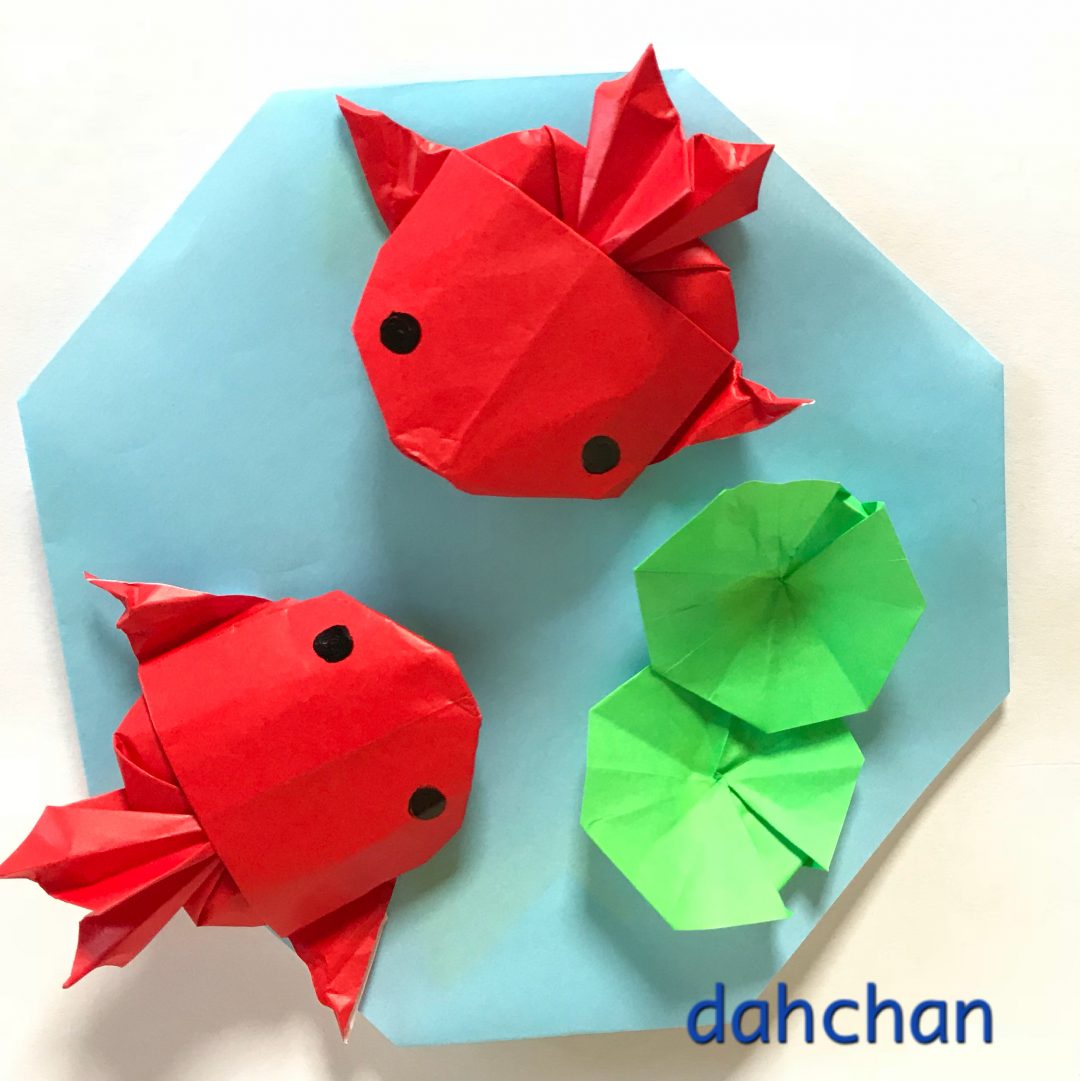 ぽってり金魚