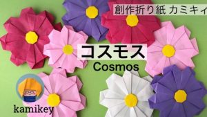コスモス