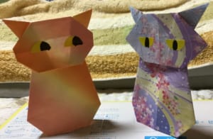 Origami folded by シオリン