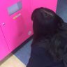 哀楽