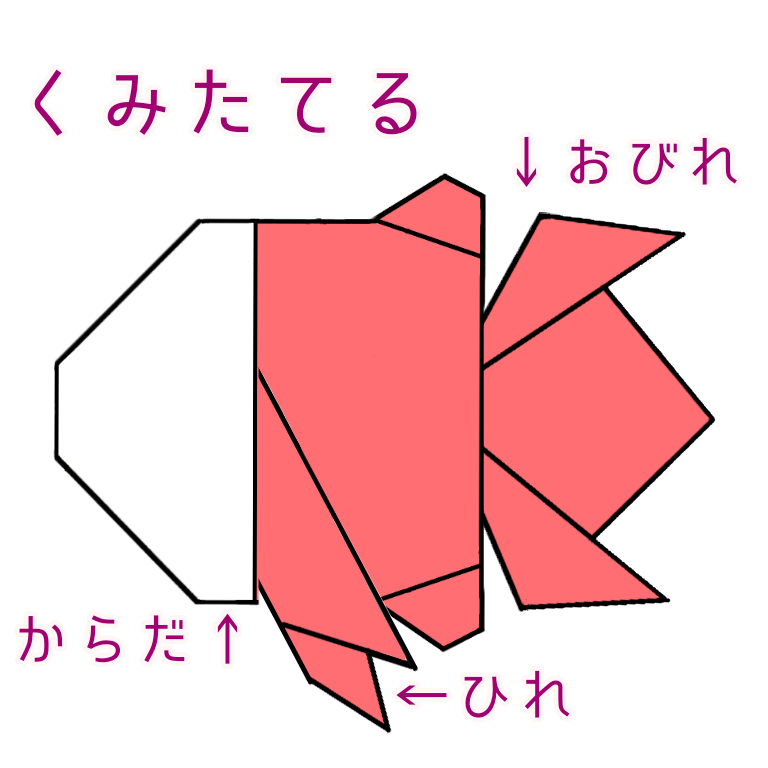 金魚(きんぎょ)の折り方 ⑭くみたてていきます。
からだのうしろに、おびれをはります。
ひれは、からだにはさんでから、のり付けします。