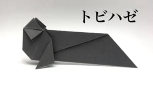 トビハゼ