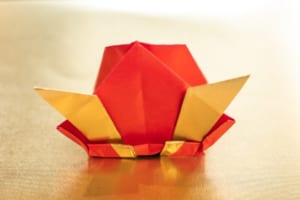 Origami folded by Kei Shingu