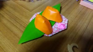 シオリンの折ってみた