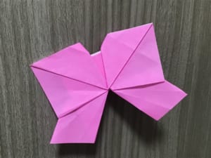 ココナッツの折ってみた