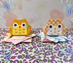 このつぶらな瞳とぽってりなボディがかわいいね❗️
