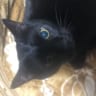 さぽぽ