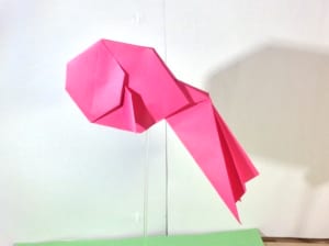 キンギョ