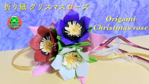 クリスマスローズ 音声解説バージョン