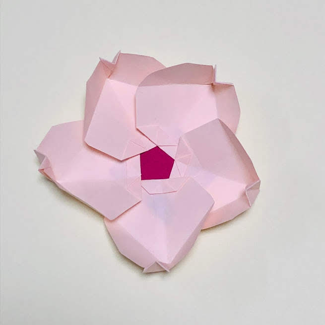 桜の器①