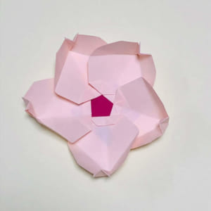 桜の器②