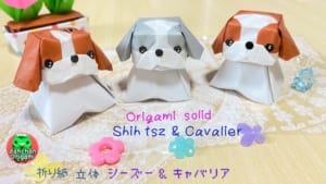 立体 シーズー & キャバリア