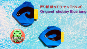 ぽってり ナンヨウハギ