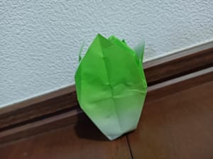 Origami folded by 月星陽