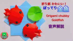 かわいい！ぽってり金魚 音声解説バージョン