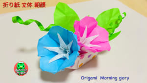立体 朝顔