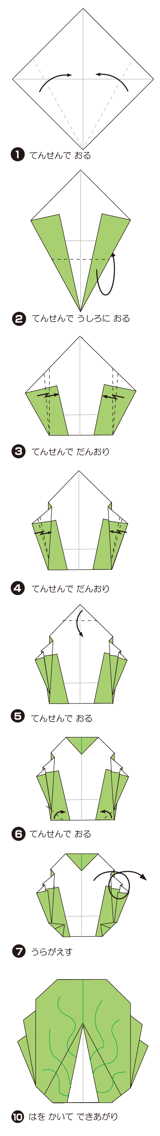 How to fold はくさい, step 1