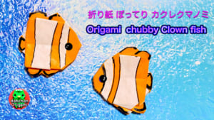 ぽってり カクレクマノミ