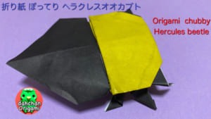 ぽってりヘラクレスオオカブト2
