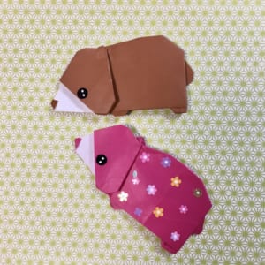 Origami folded by スローなのんちゃん