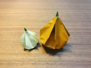 Origami folded by ともす
