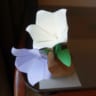 パスピエ