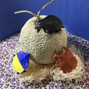 Origami folded by スローなのんちゃん