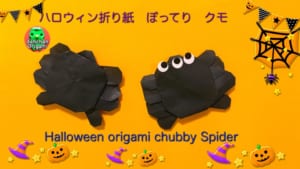 ぽってりクモ