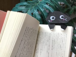 ココナッツの折ってみた