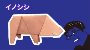 イノシシ