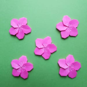 桃の花