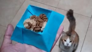 猫 フードボウル