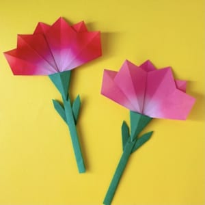 カーネーション