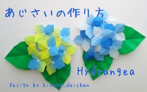 アジサイ