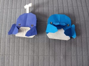 月星陽の折ってみた